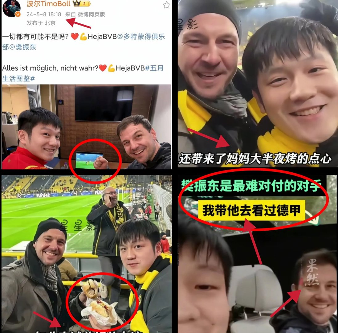 中国乒乓球队险胜日本乒乓球队,波尔打破历史纪录的简单介绍 中国乒乓球队险胜日本乒乓球队,波尔打破历史纪录的简单介绍
