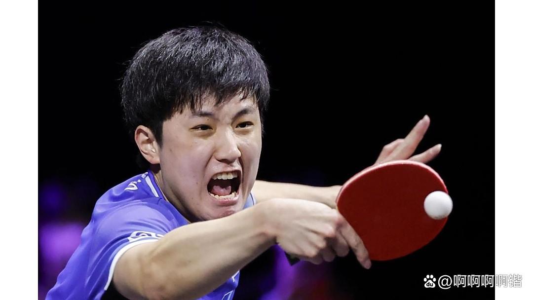 葡萄牙队完胜奥地利队，张本智和高光表现