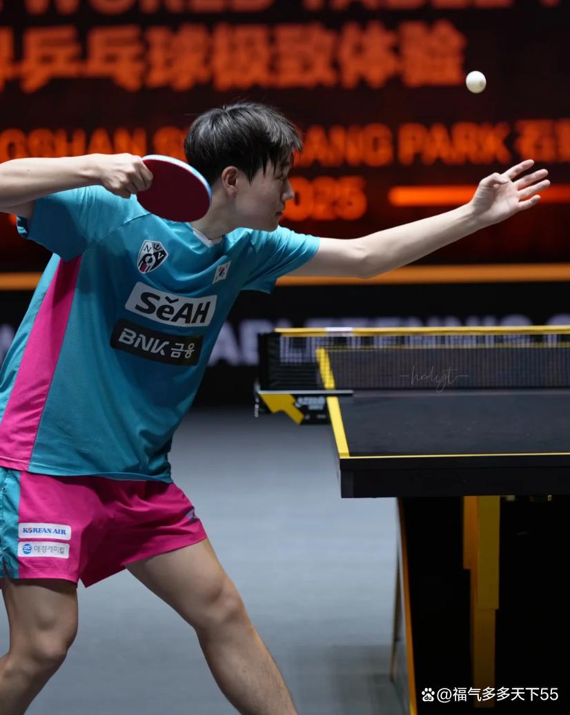 韩国队碾压日本队，许昕状态火热