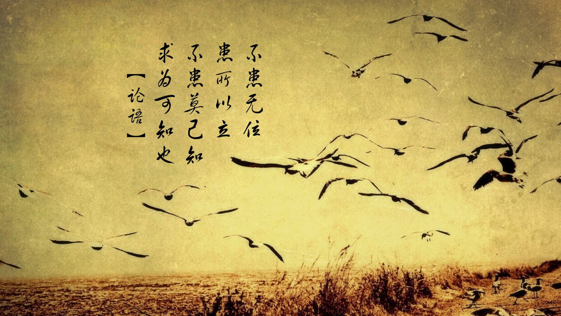 梅德韦杰夫拉沃尔杯逆转秀，年终总决赛级表现惊艳四座