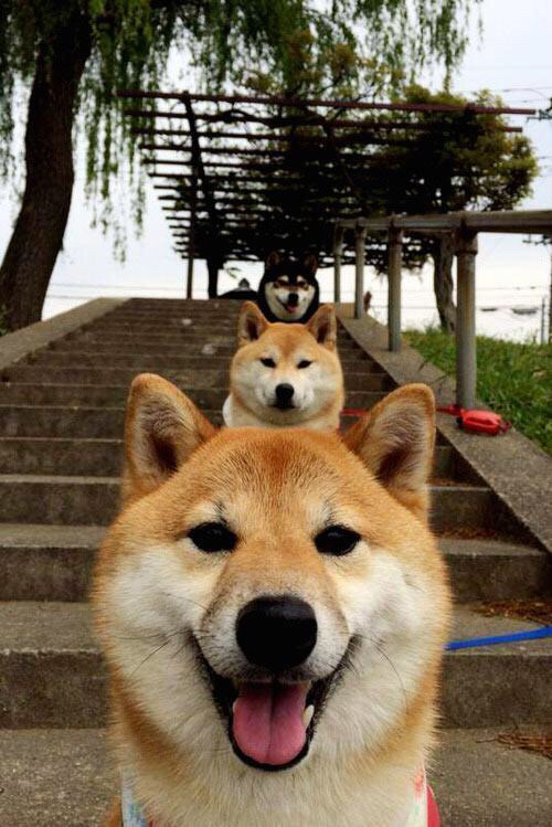 双面欧洲，当克罗地亚的绝杀匕首遇见萨内的艺术焰火