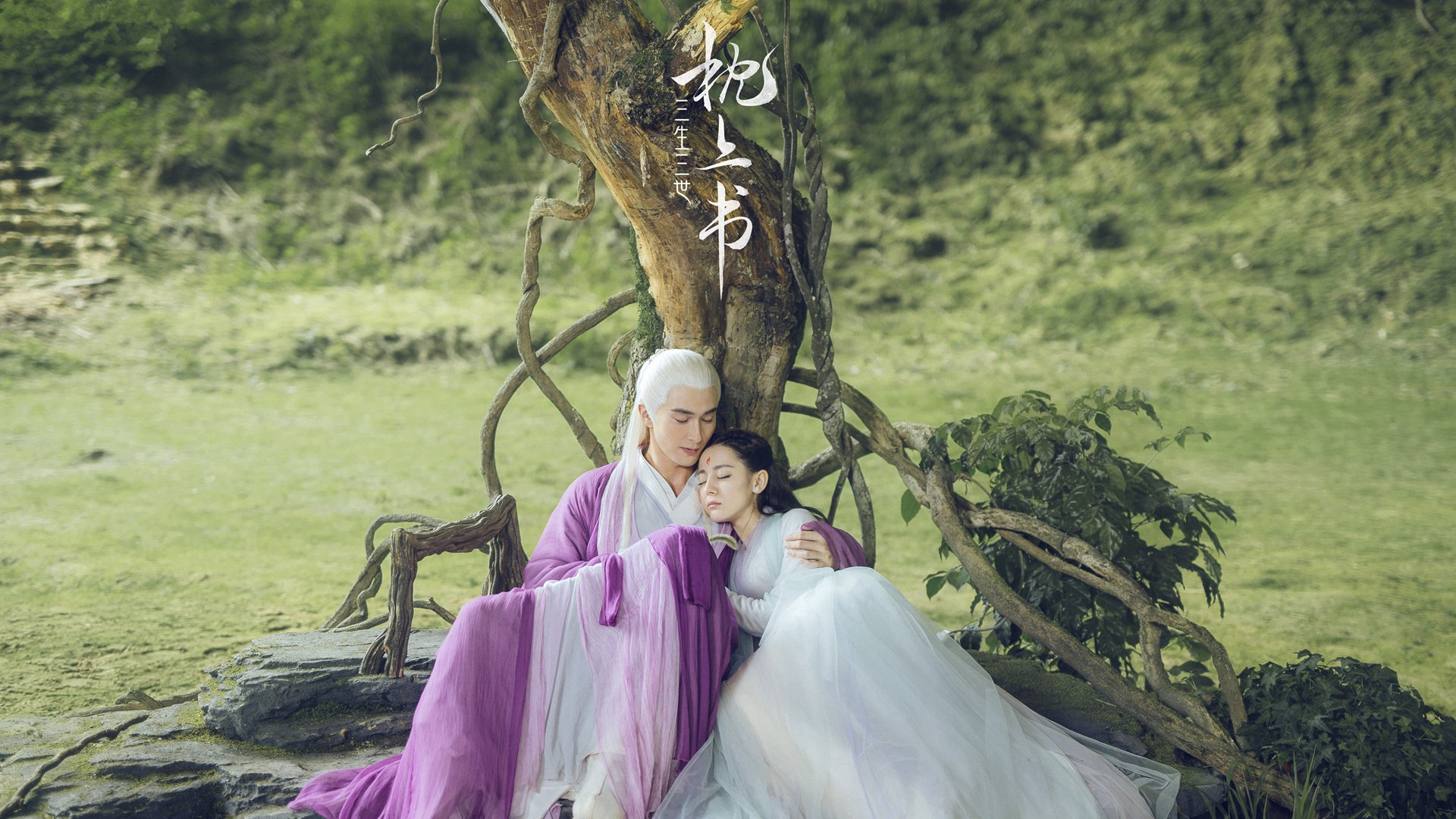 联合杯上演华丽逆袭！新王加冕，旧王ATP总决赛黯然失色