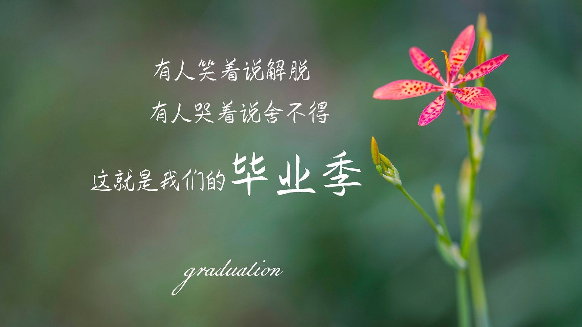 基于此,为您拟定的文章标题是