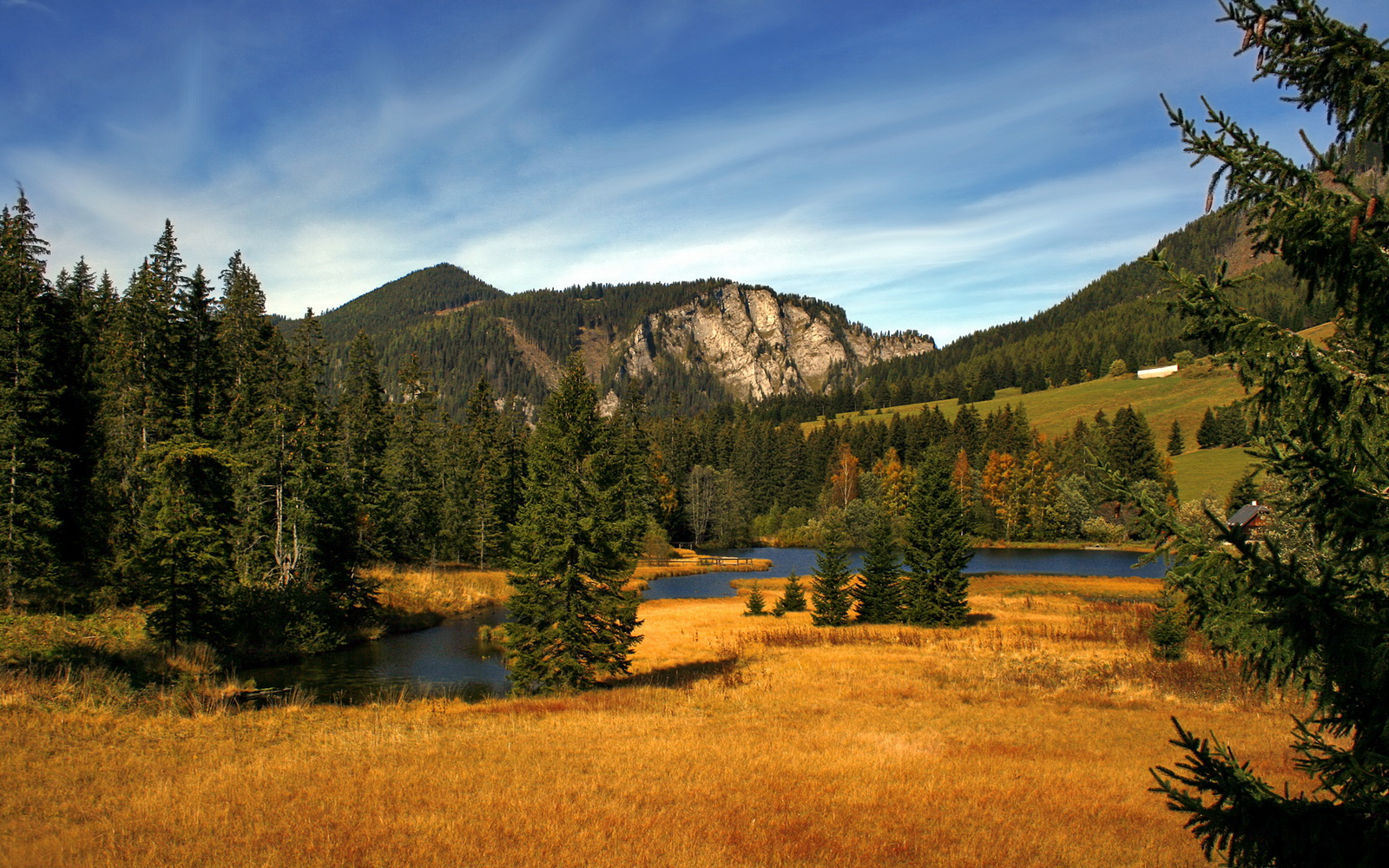 当萨卡爆发的晨光，照亮哥伦比亚与毕尔巴鄂的突围之路