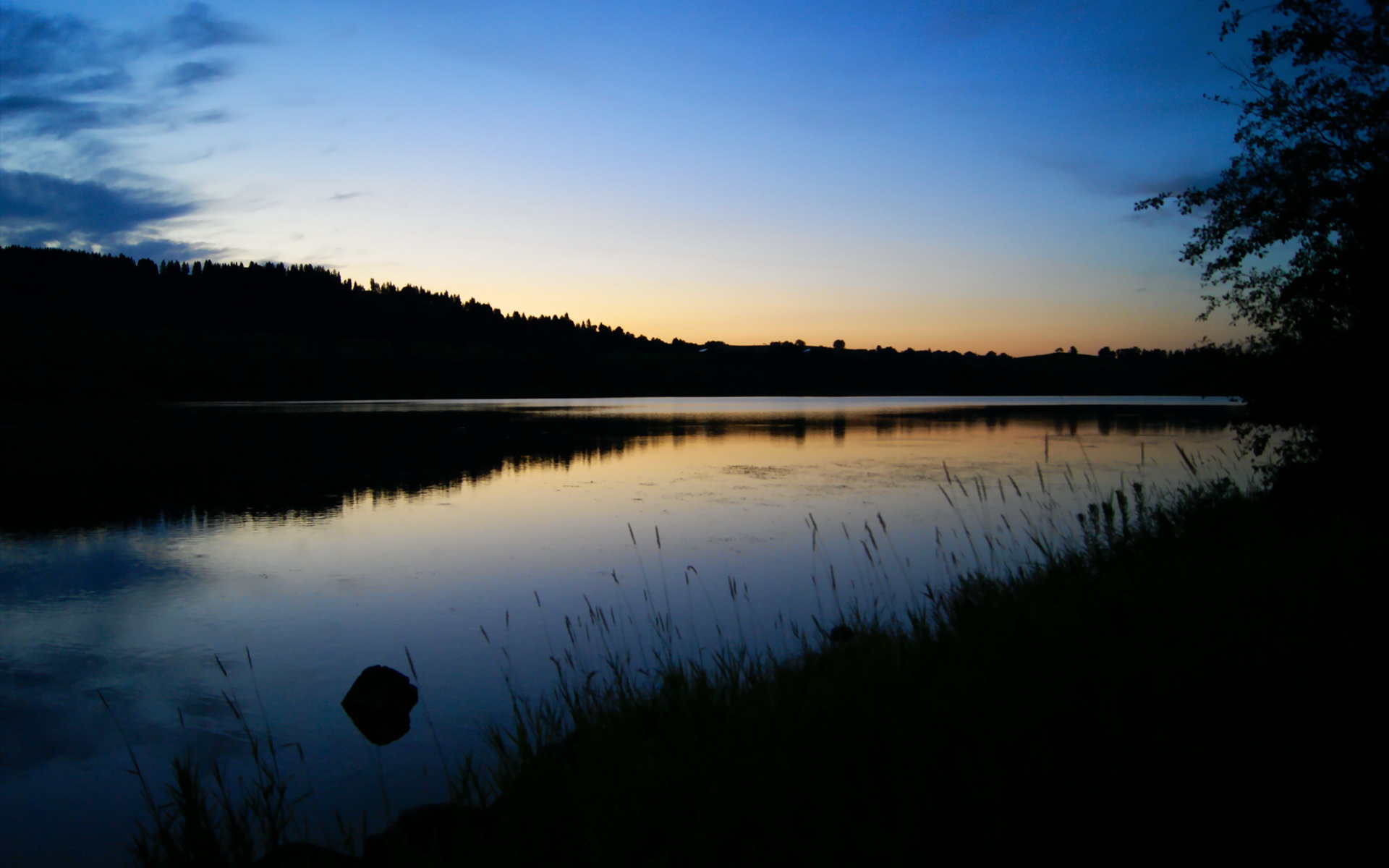 范戴克降临，当唯一性在巴黎之夜具象化