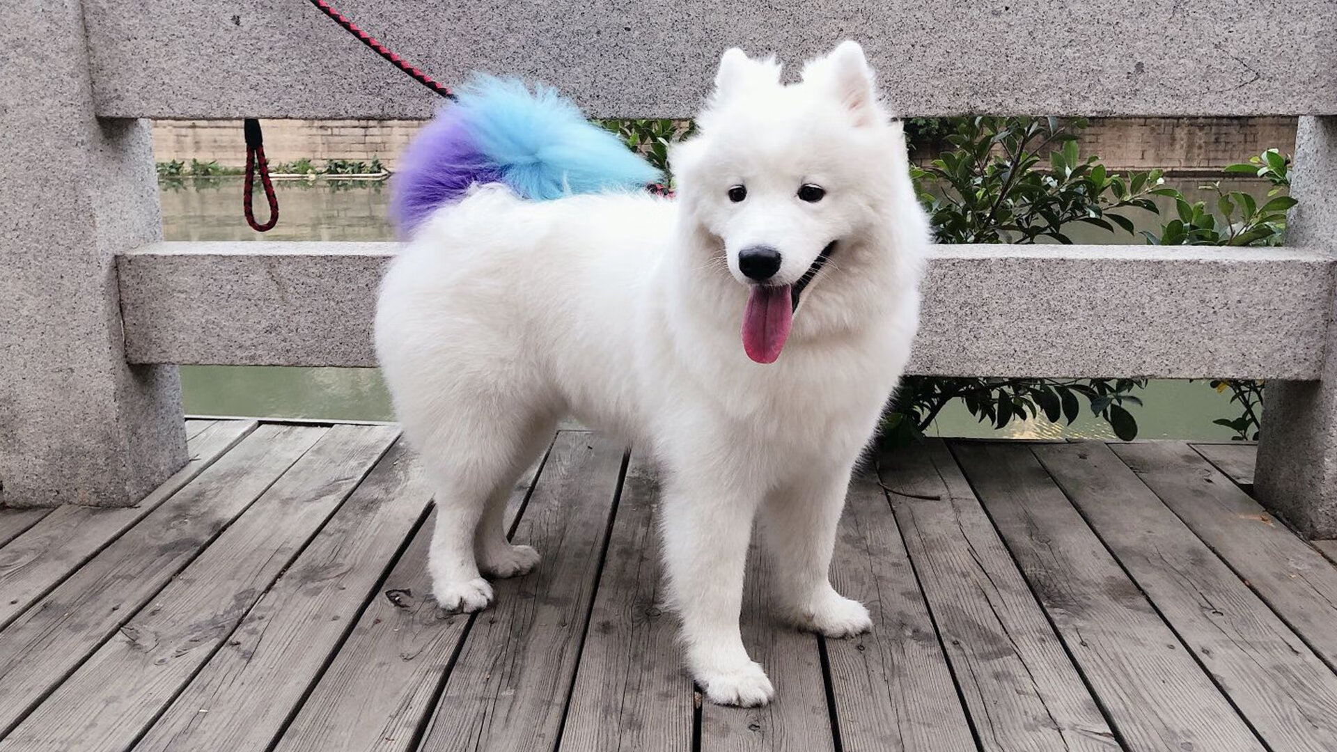 节奏是独裁者，西决生死战之夜，门迪如何用0.75倍速统治全场