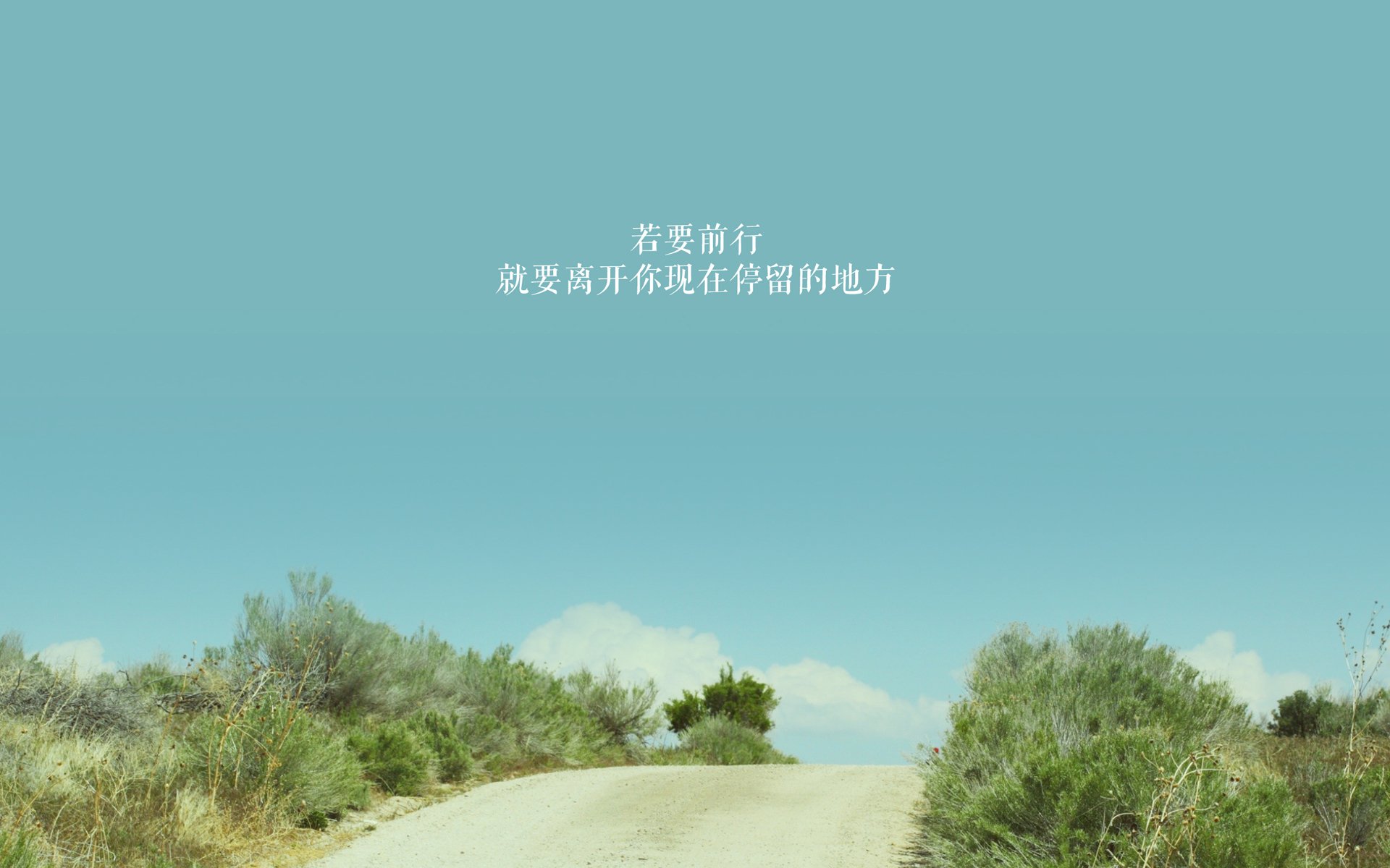 绿茵双重奏,个人英雄主义与团队哲学的当代碰撞