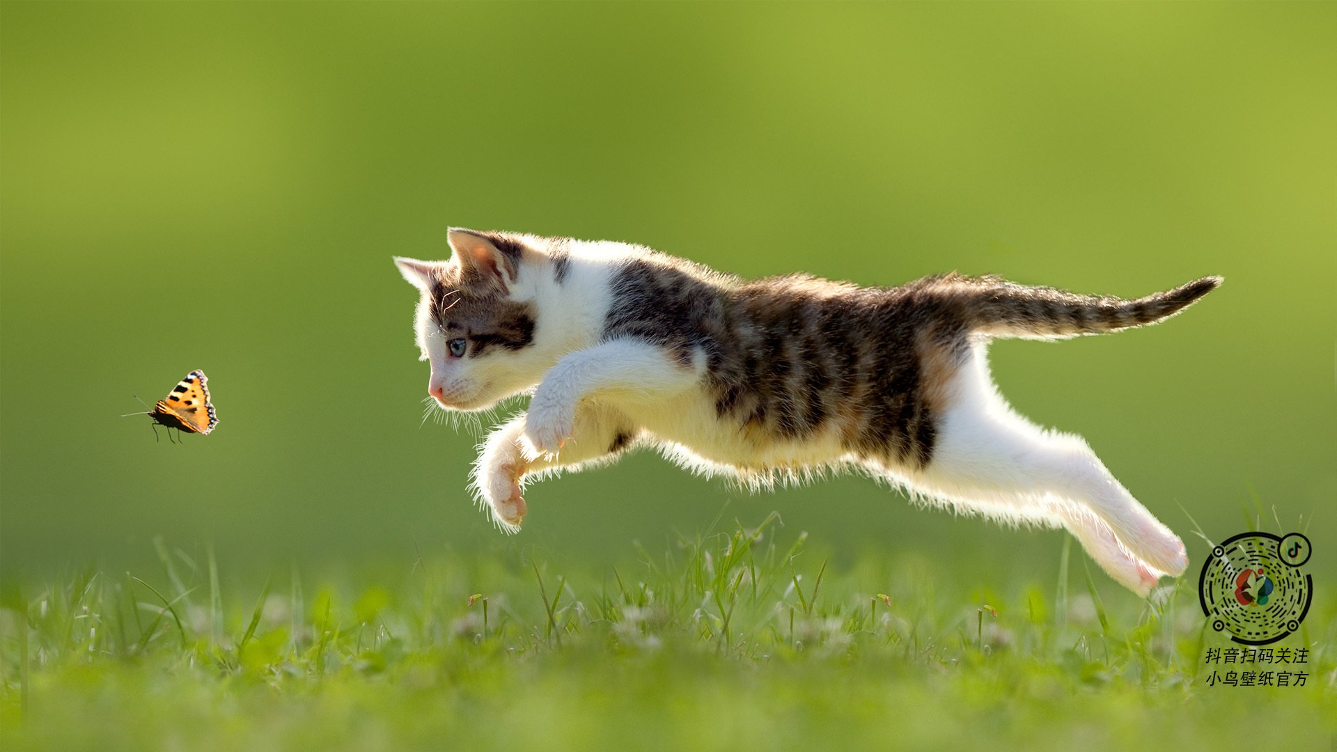 破咒之夜，无名英雄托尼与阿森纳的史诗逆转