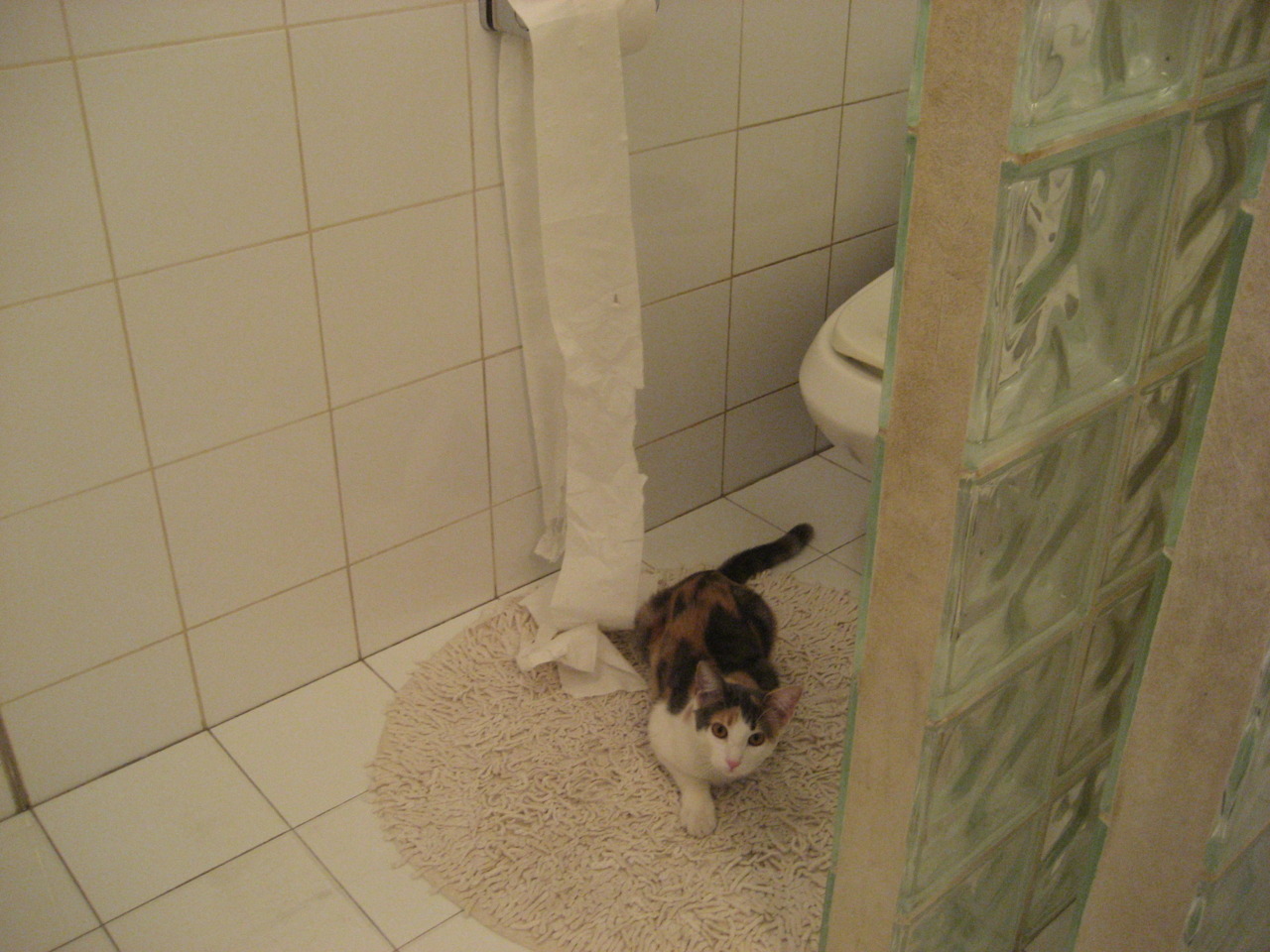 篮球欧冠半决赛焦点战，76人强行终结掘金，晋级决赛