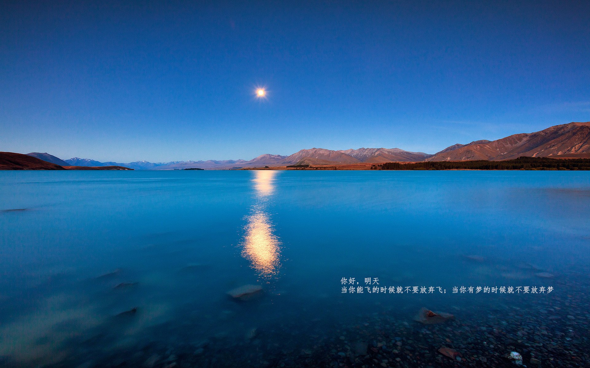 天光乍破，加克波的子弹如何击碎长夜与质疑