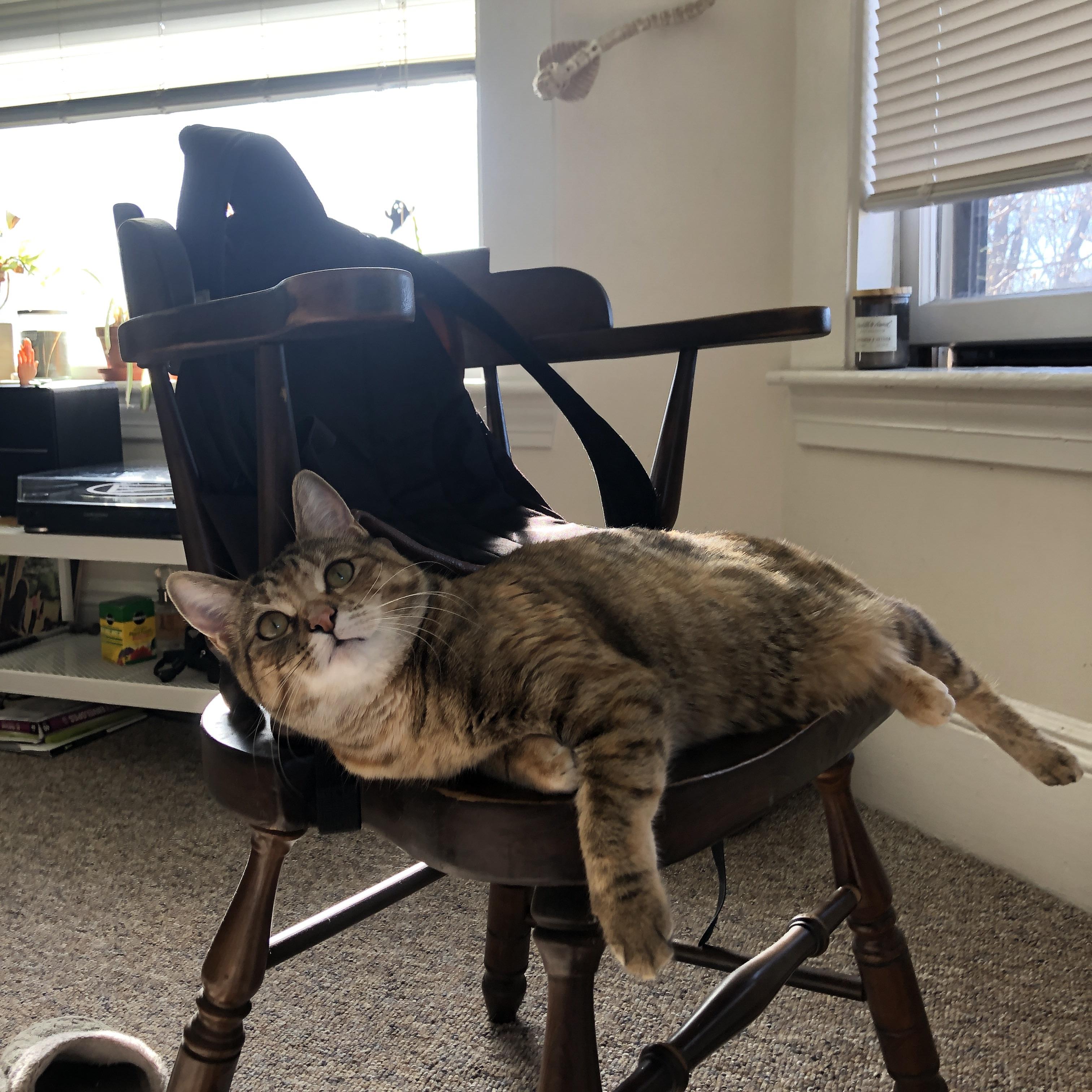 绝境亮剑，内外烈焰，内马尔加冕诺坎普生死战之王