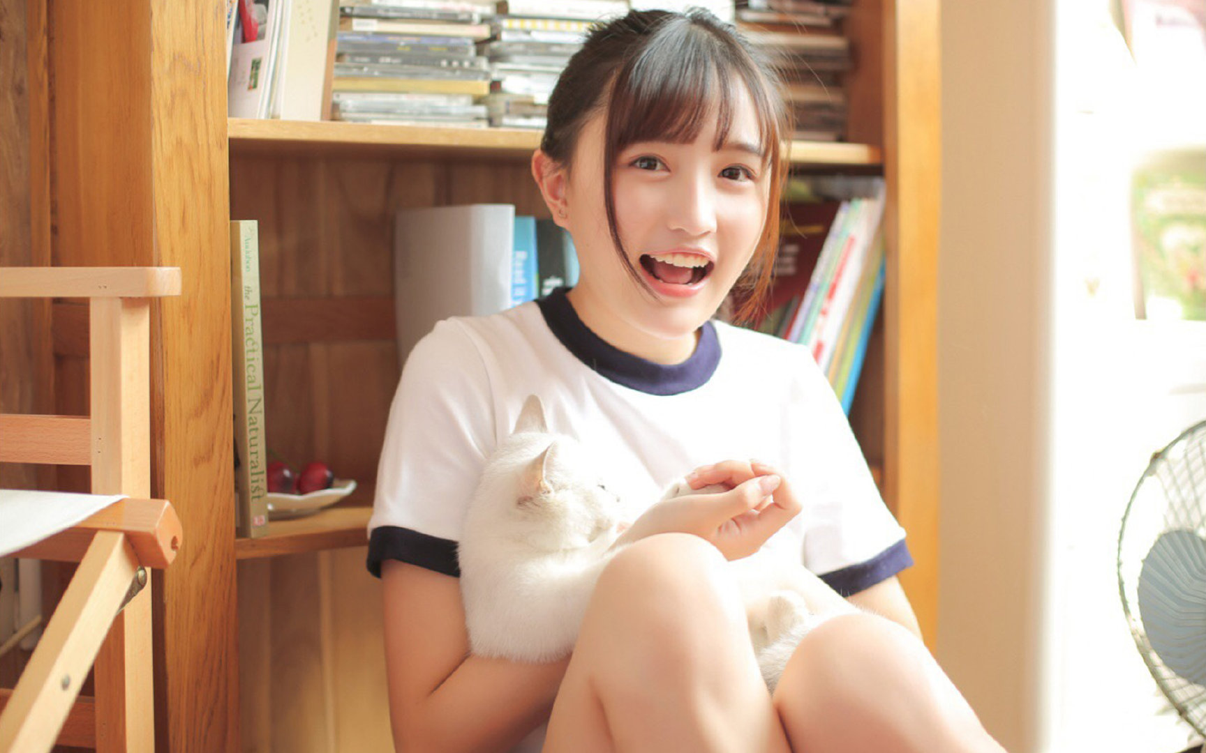 华丽弧线终结宿命，范弗利特双重证明的一记致命三分