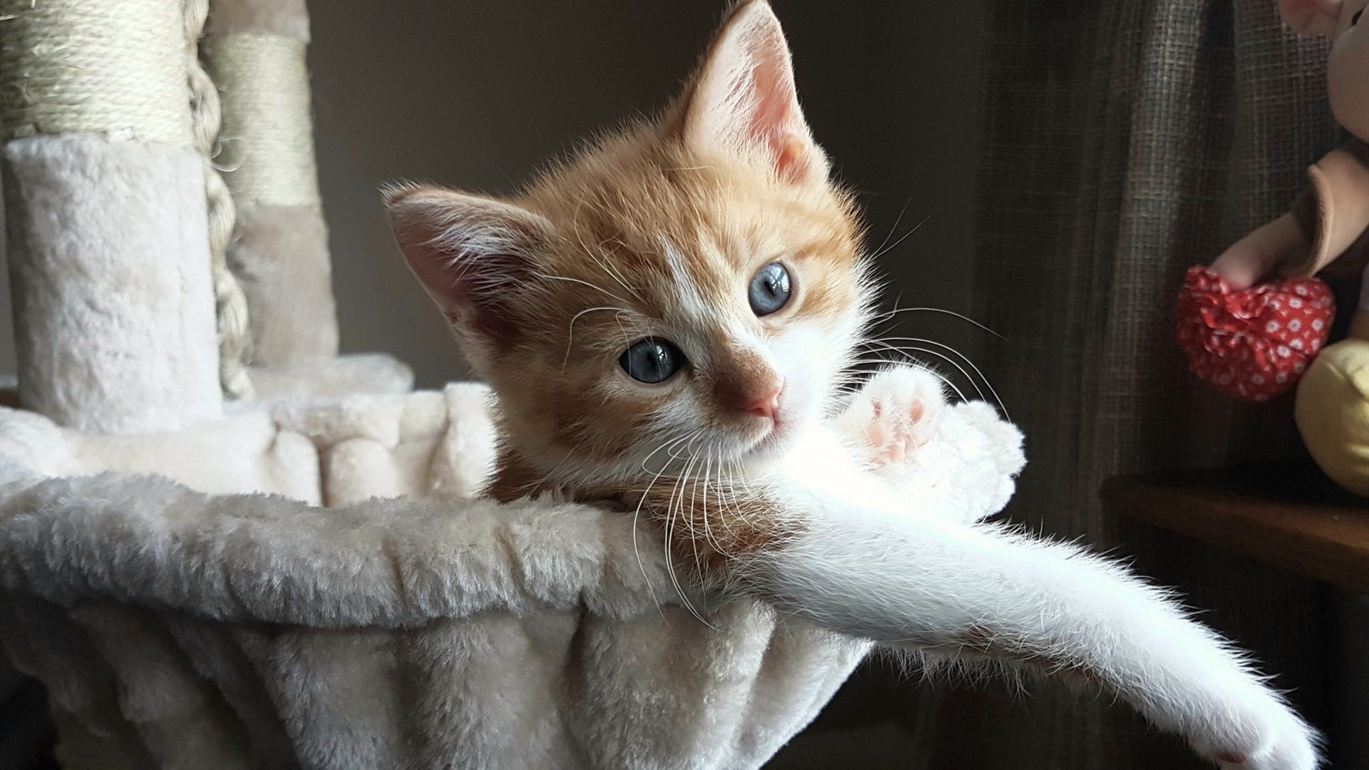 玻利维亚之夜,从高原对决到2026的迪巴拉预言