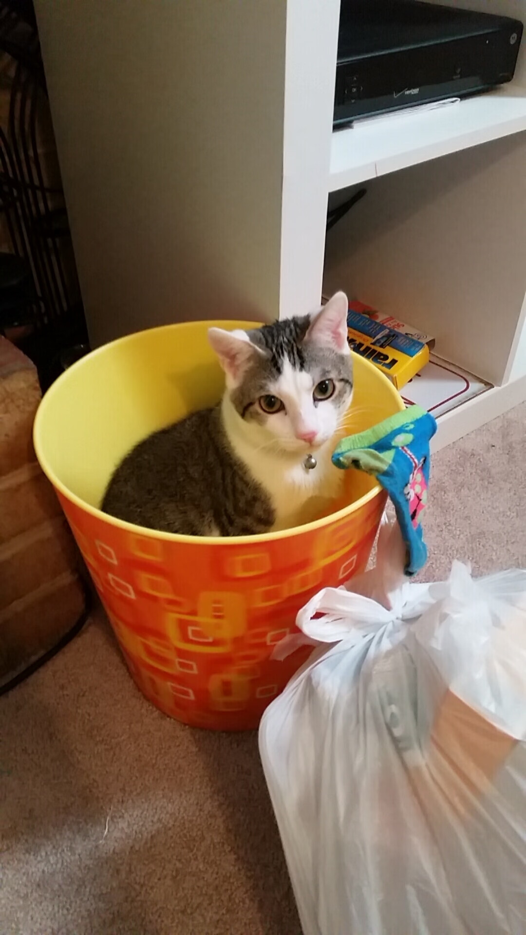 蓝黑交响曲，劳塔罗点燃引擎，比利时铁骑碾过佛罗伦萨防线