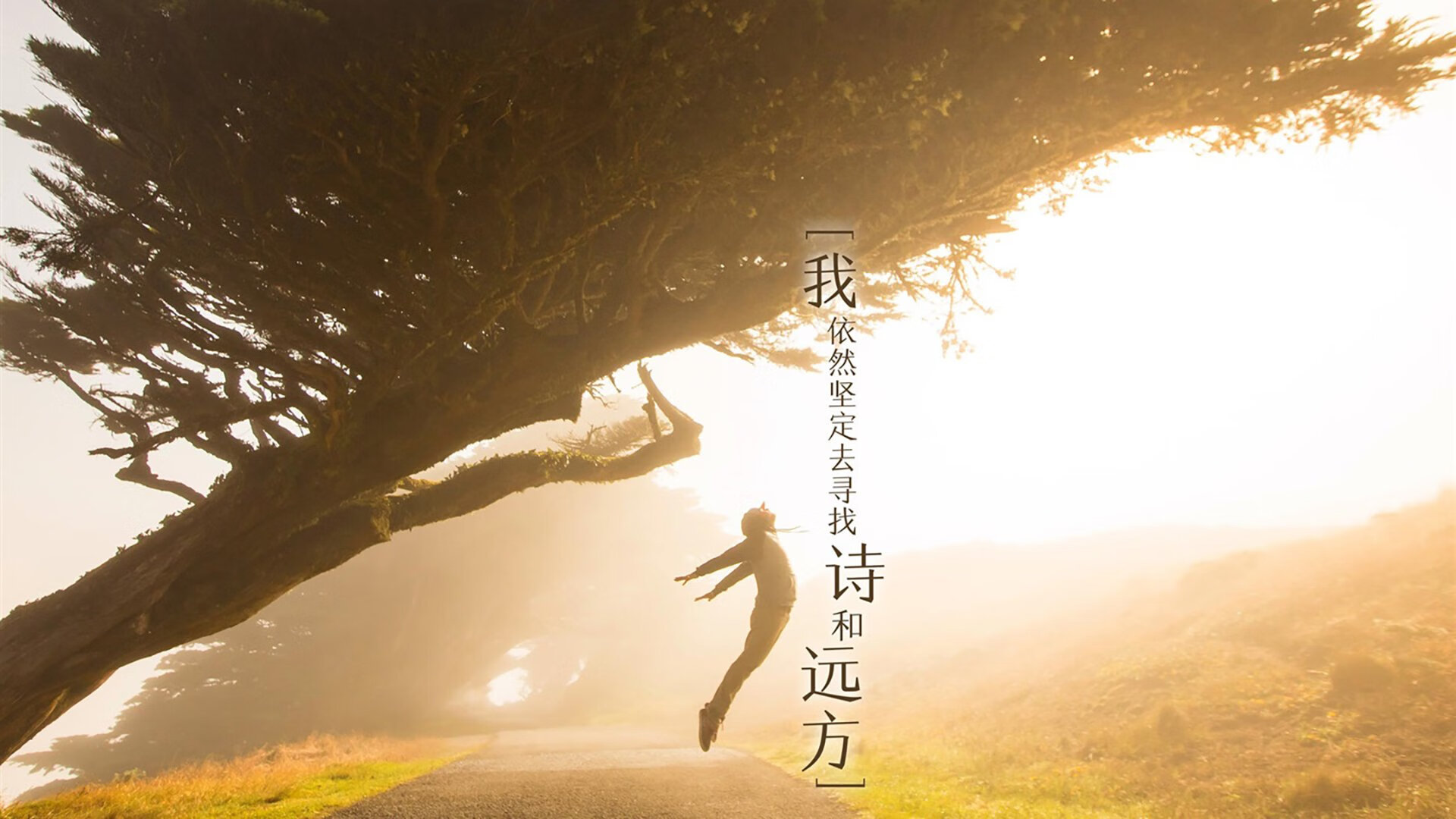 闪电战！塞维利亚第三节狂潮击溃乌克兰，世界排名争夺战再添变数