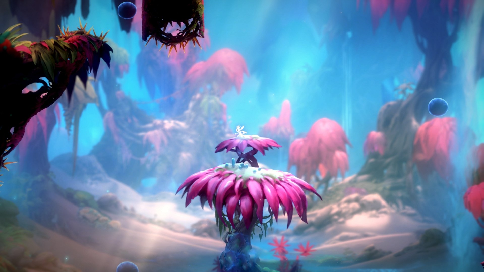 终极赛车日，F1摩纳哥街道激战，法国足球淘汰亚特兰大