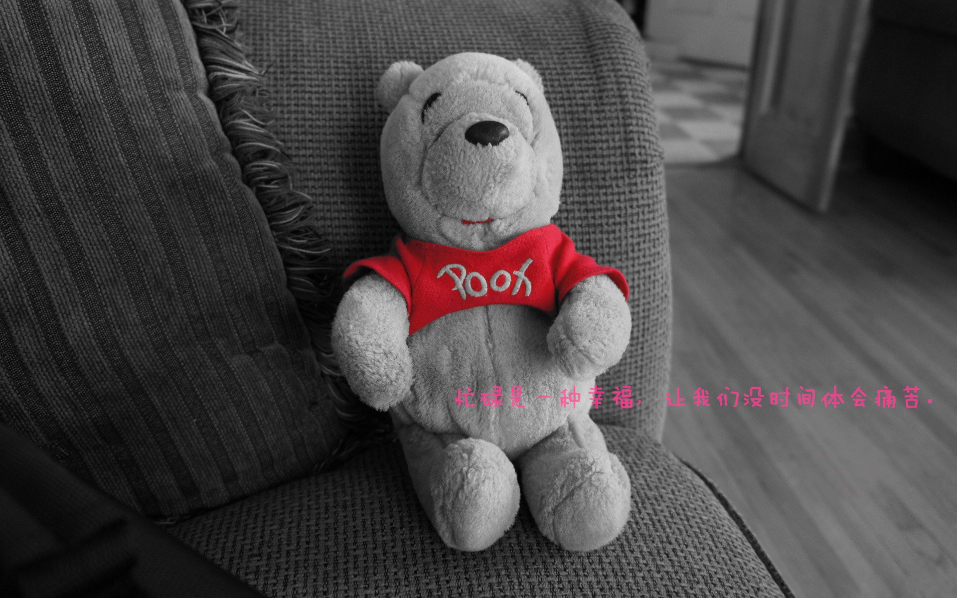 库里单场50分射穿森林狼，金州压哨晋级会师雷霆