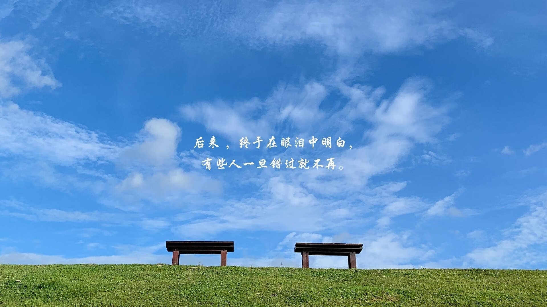 中场大师的孤勇,布罗佐维奇如何用一己之力,在2026世界杯H组撕裂巴西足球王国