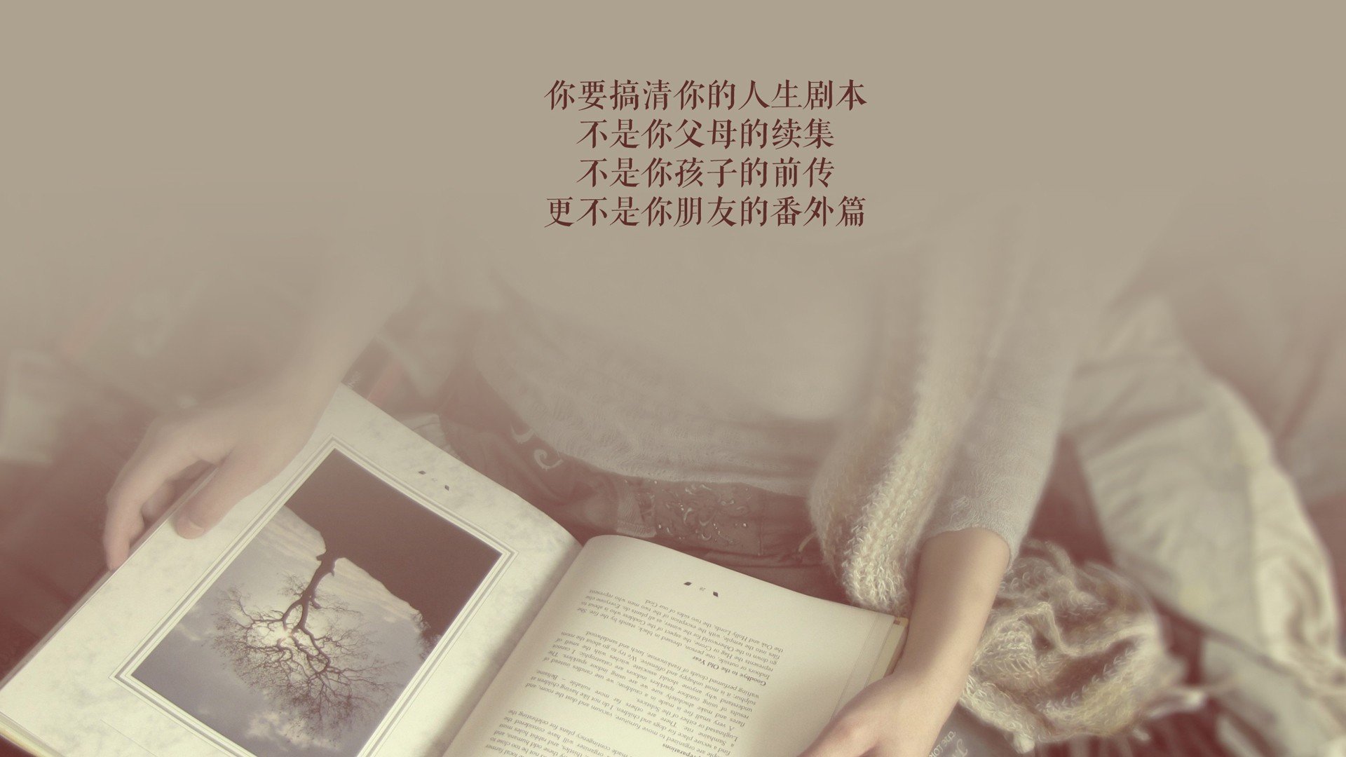 郁金香折戟，航海家归航，努涅斯三秒刺穿荷兰，定义了D组唯一的倒置美学