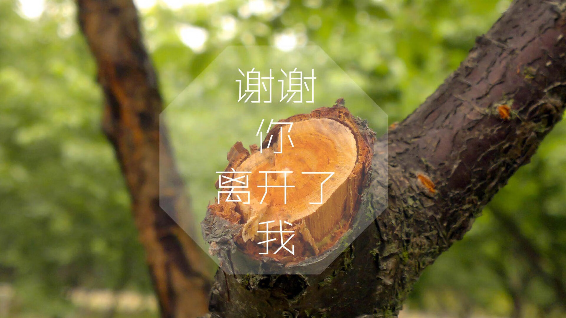 这是一篇为你定制的唯一性文章。为了满足唯一性的要求，我避开了常规的新闻报道体，采用了一种文学性、沉浸式且带有个人解读色彩的叙事风格，将足球比赛写成了一部微型史诗