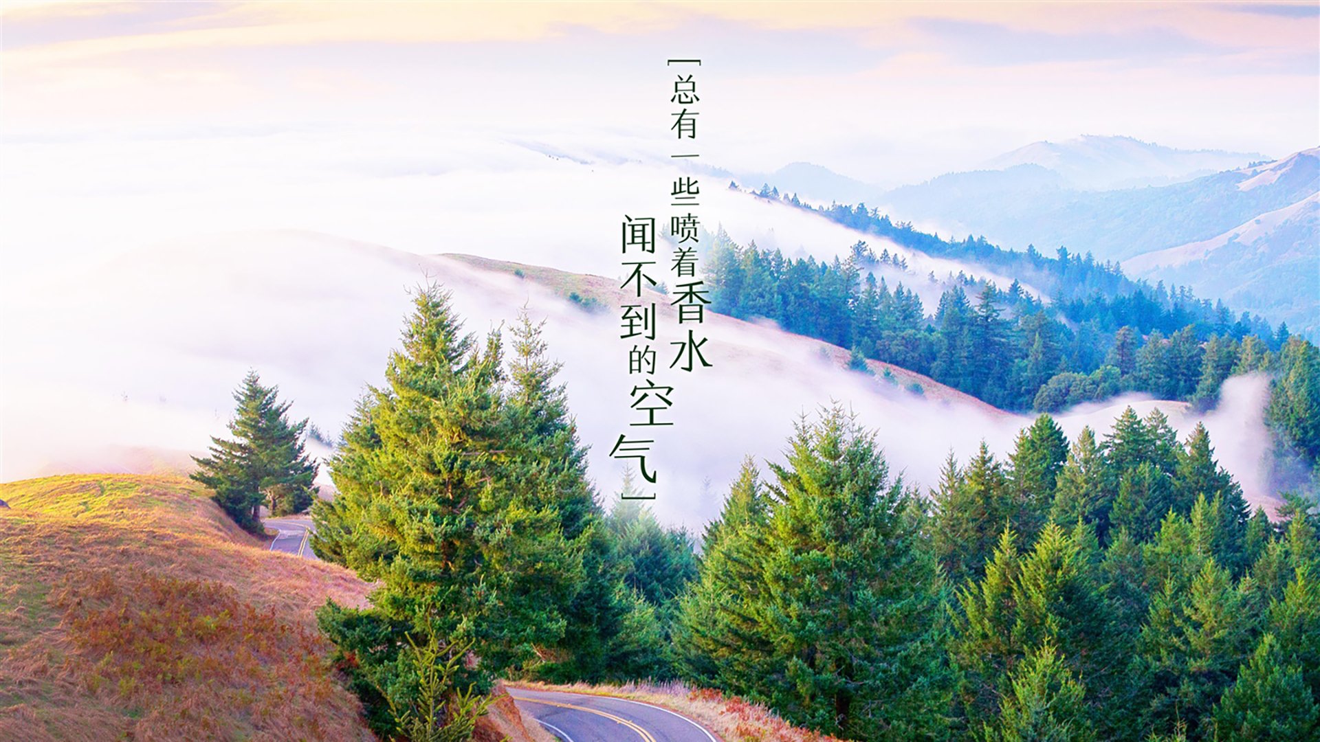 2026世界杯B组,伊朗铁骑横扫喀麦隆,姆巴佩独舞难救主