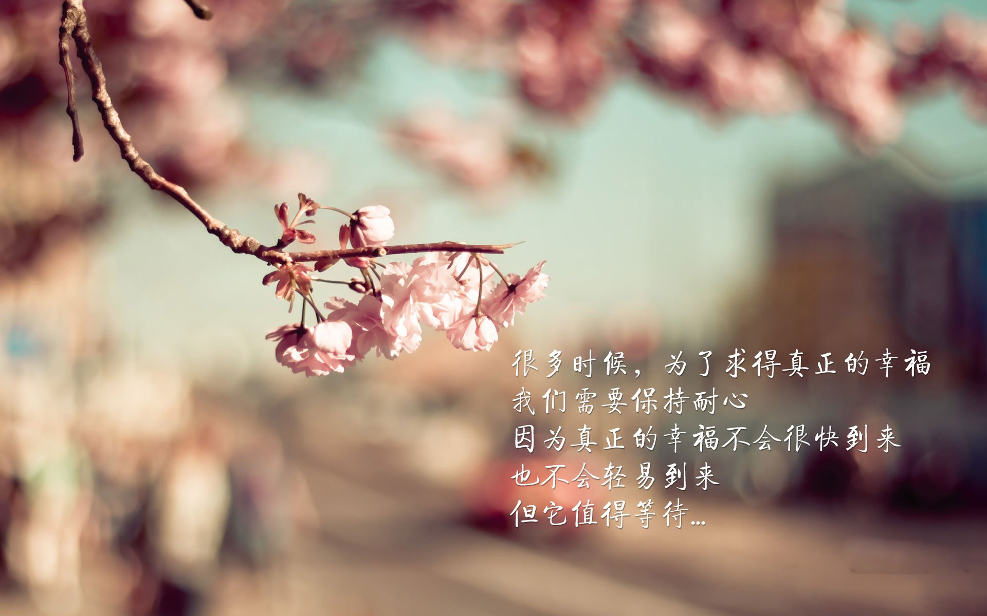 奇迹之夜，2026世界杯G组，印度大胜挪威，久保建英引领亚洲新王登基
