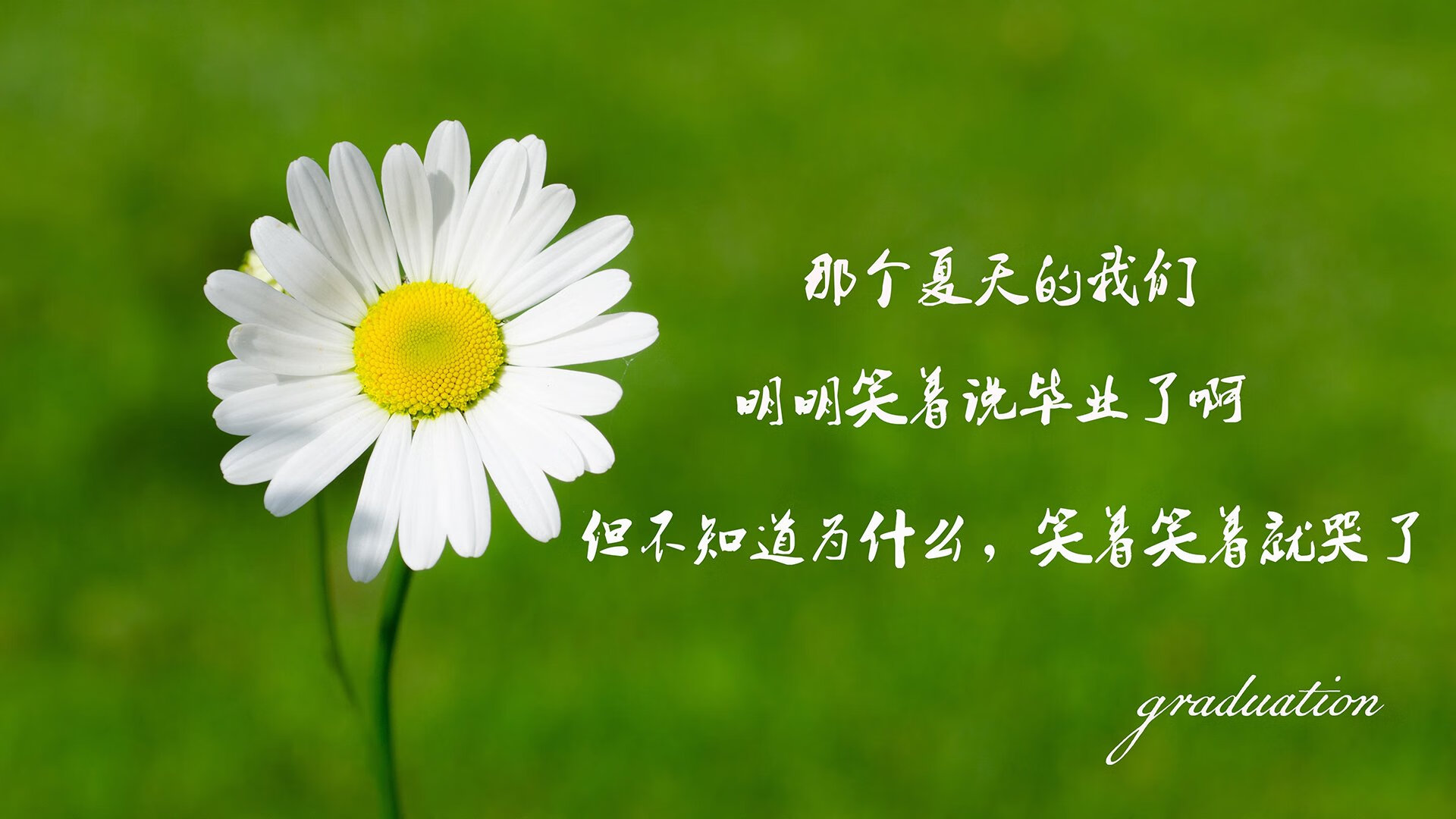 极光吞噬暹罗,凯恩的战术权杖,如何在2026世界杯F组缔造冰岛横扫泰国的唯一密码